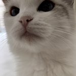 [19] 나 <b>학</b>고 받아서 장학금 짤릴거같은데