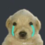 [댓글부탁해] 얘들아 나 고해<b>성사</b>할게...