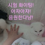 <b>학종</b>보다 교과로 가는게 낫지??