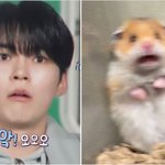 [ZB1] 성한빈 <b>다섯</b>살이야?