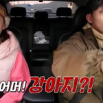 예능 촬영 <b>도중</b> 유기견 구조한 아이돌