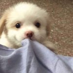 [ZB1] 이거 너무 <b>김규빈임</b>