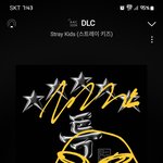 [스키즈] 미춌다