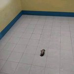 <b>야이</b> 좀만아