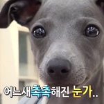 초딩때 첫사랑을 10년째 못잊음