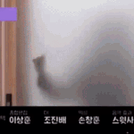 살면서 느낀 제일 갓생인애들 순위
