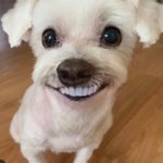 [댓글부탁해] 멜론 이용권 결제는 됐는데 돈이 안 <b>나감</b>