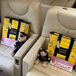 블랙핑크가 타는 대한항공 전용기 내부 ㄷㄷ