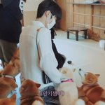 엔시티 재현이 처음 본 강아지들이랑 친해지는 법