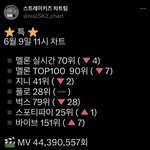[스키즈] ‼️melon <b>비상</b>‼️