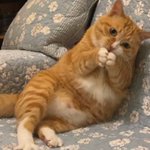 솔직히 내 <b>목표</b>는