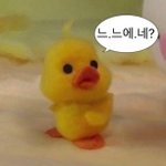 판녀들 특