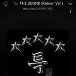 [스키즈] 인증 없는 글 먹금하자