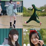 [모두드루와] 공룡 해린 개귀<b>엽당</b>