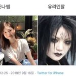 내기준 보플 유리멘탈 기존쎄