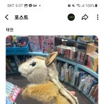 [TXT] 아무래도 <b>휴닝이</b>는 텬람쥐파인가봐