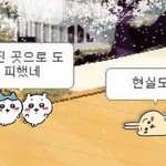 [댓글부탁해] n<b>수생</b>인 사람들아 들어와바