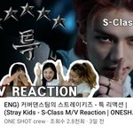 [스키즈] 흔하지않지만 조금씩 흔해지려는