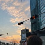 [세븐틴] 이번에 입덕한 캐럿이에요