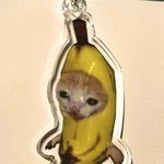 해피캣 밈 너무 <b>조아</b>