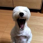 고1 물리 하나도 모르겟는제 어캄ㅠㅠ