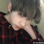 이 사진이 <b>리키</b>였음?