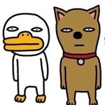<b>인팁</b>이 본 엠비티아이 특징