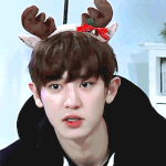 <b>찬열</b>
