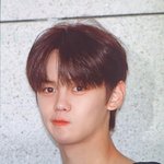 [ZB1] <b>똥강아디</b> 때문에 미치겠어