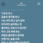 쏜<b>애플</b> 노래 좋네