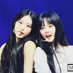 위버스콘 뉴진스 프리뷰 개이쁘당