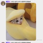 [NCT드림] 공주님...제발 <b>존함</b> 좀ㅠㅠ