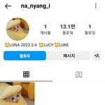 [모두드루와] 엔시티 <b>재민</b> 고양이 인스타 오픈함