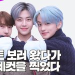 네컷라이브 조회수 TOP7