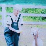 [ZB1] 동물과 <b>리키</b>의 조합