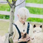 [ZB1] 리키 그렇게 안생겨서 <b>동물</b> 좋아하는거 ㄱㅇㄱ