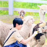 [ZB1] 햄비니 오늘 직업만족도 <b>최상</b>같음