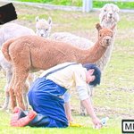 [ZB1] <b>김지웅</b> 뭐해 ㅋㅋㅋ
