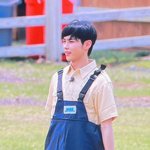 [ZB1] 하 레전드로 <b>바부</b>같음