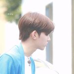 [ZB1] 코코볼 <b>귀여웡</b>