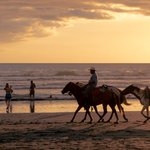 코스타리카, 멕시코, <b>LA</b> 여행을 마치고