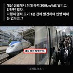 고속철도 선로에 <b>바위</b> 깔아둔 청소년