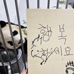인스타 스트레스 안 받으려면