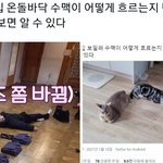 [TXT] 얘 진짜 <b>고양</b>이 아님..?