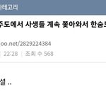 제베원 제주도에서 <b>사생</b>땜에 잠도 못잤다