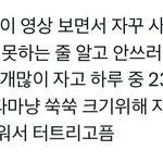 우리 막내 귀여운 썰