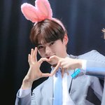 [ZB1] 햄냥이 생일 기념 <b>한빈</b>이 짤털!! ✨