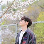 [ZB1] 어쩌다 이런 <b>축복</b>이 내 삶에 굴러왔을까~