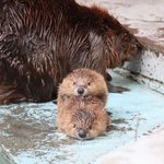 [드루와] 날씨, 낮밤에 따라 기분이 오락가라하는데
