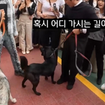 <b>행인</b>과 사진찍다가 깜짝 놀란 조세호